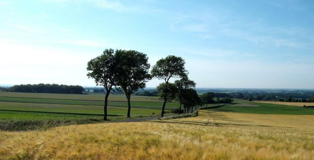 Camping Pommiers Des Trois Pays Licques Exterior foto